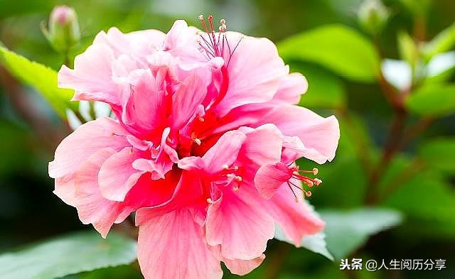 人生格言正能量励志名句简短,励志短句正能量名人名言