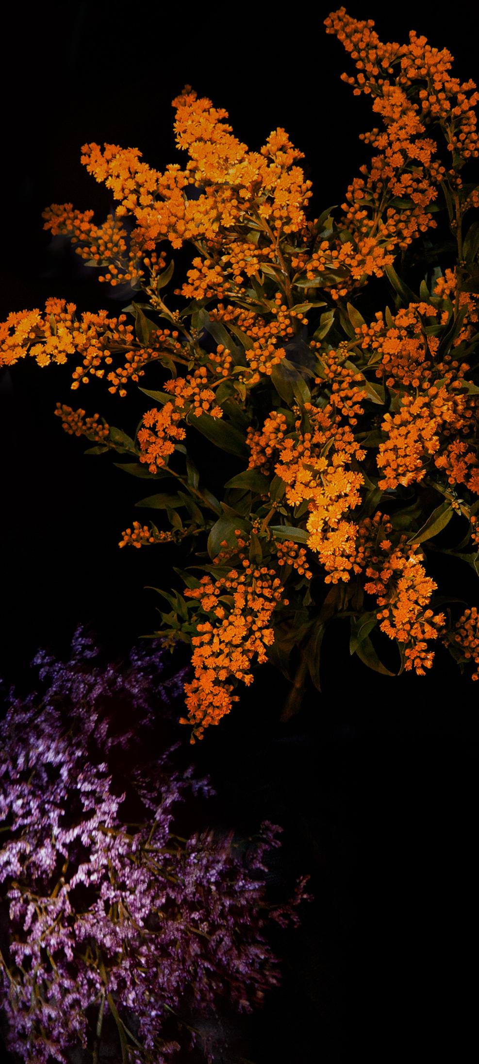 方便整顿桌面图标的壁纸,不影响电脑性能的动态壁纸