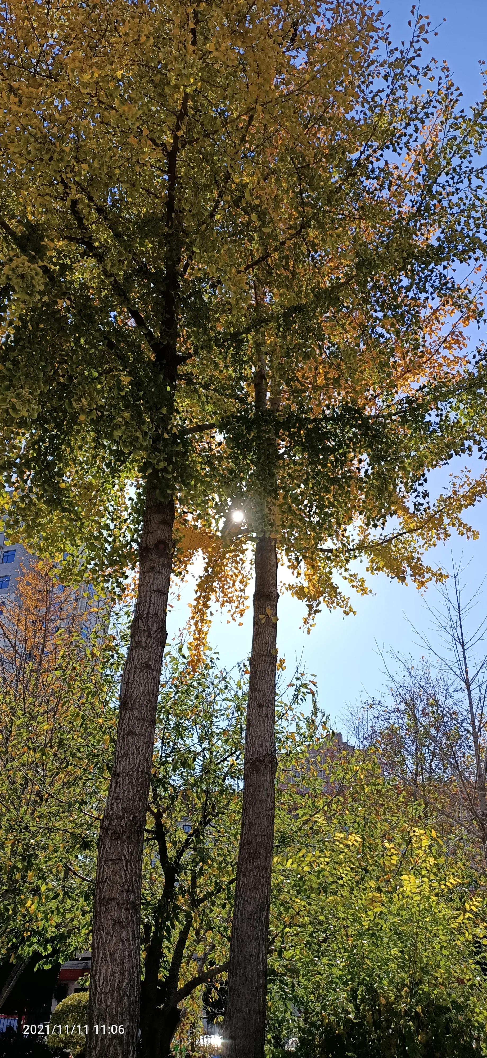 达则兼济天下穷则独善其身,达则兼济天下穷则独善其身素材