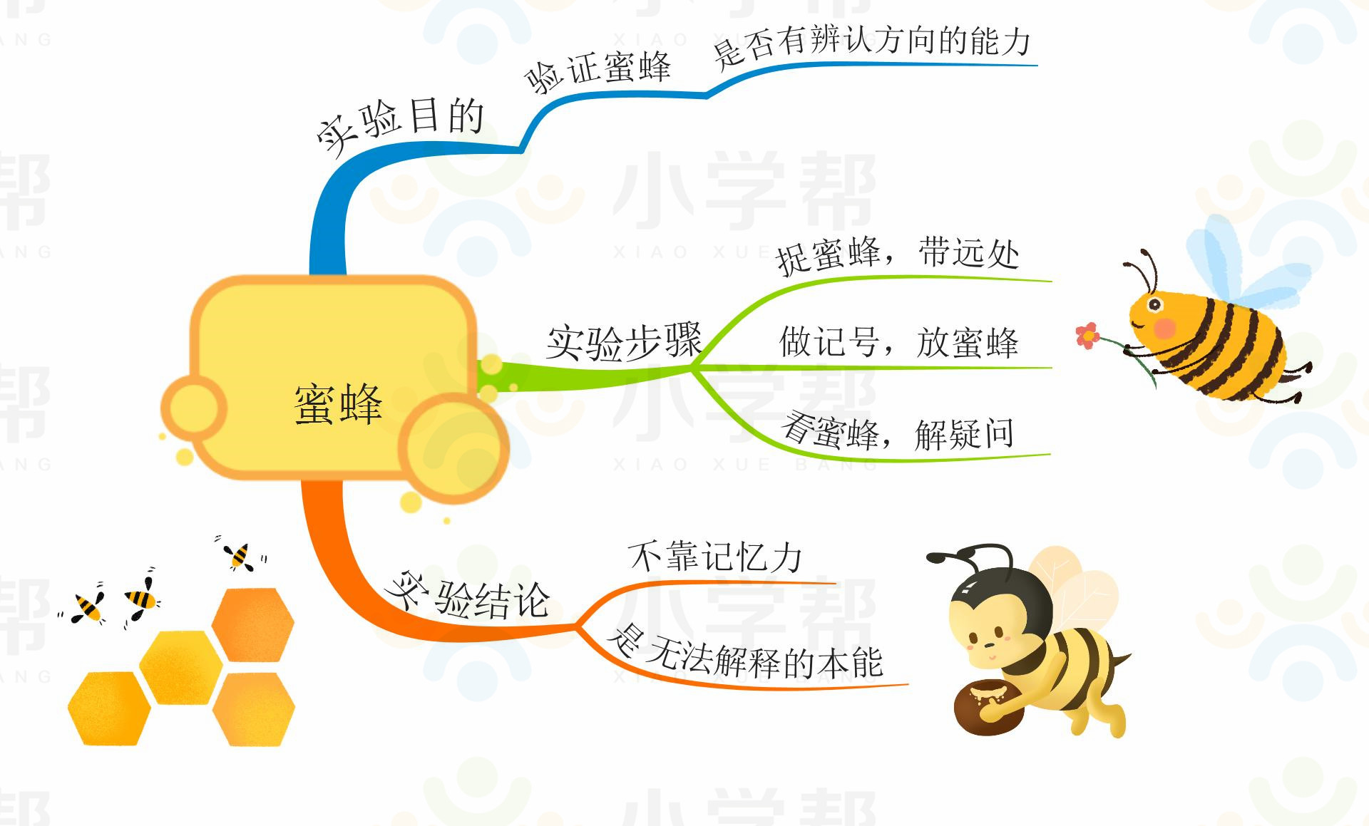 新部编版小学六年级语文思维导图,部编版1-6年级语文上册思维导图