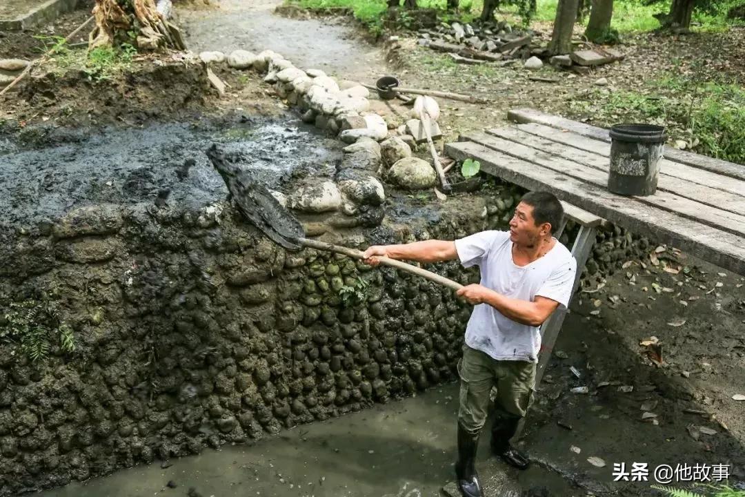 人间仙境般的世外桃源庭院,原始森林自建世外桃源