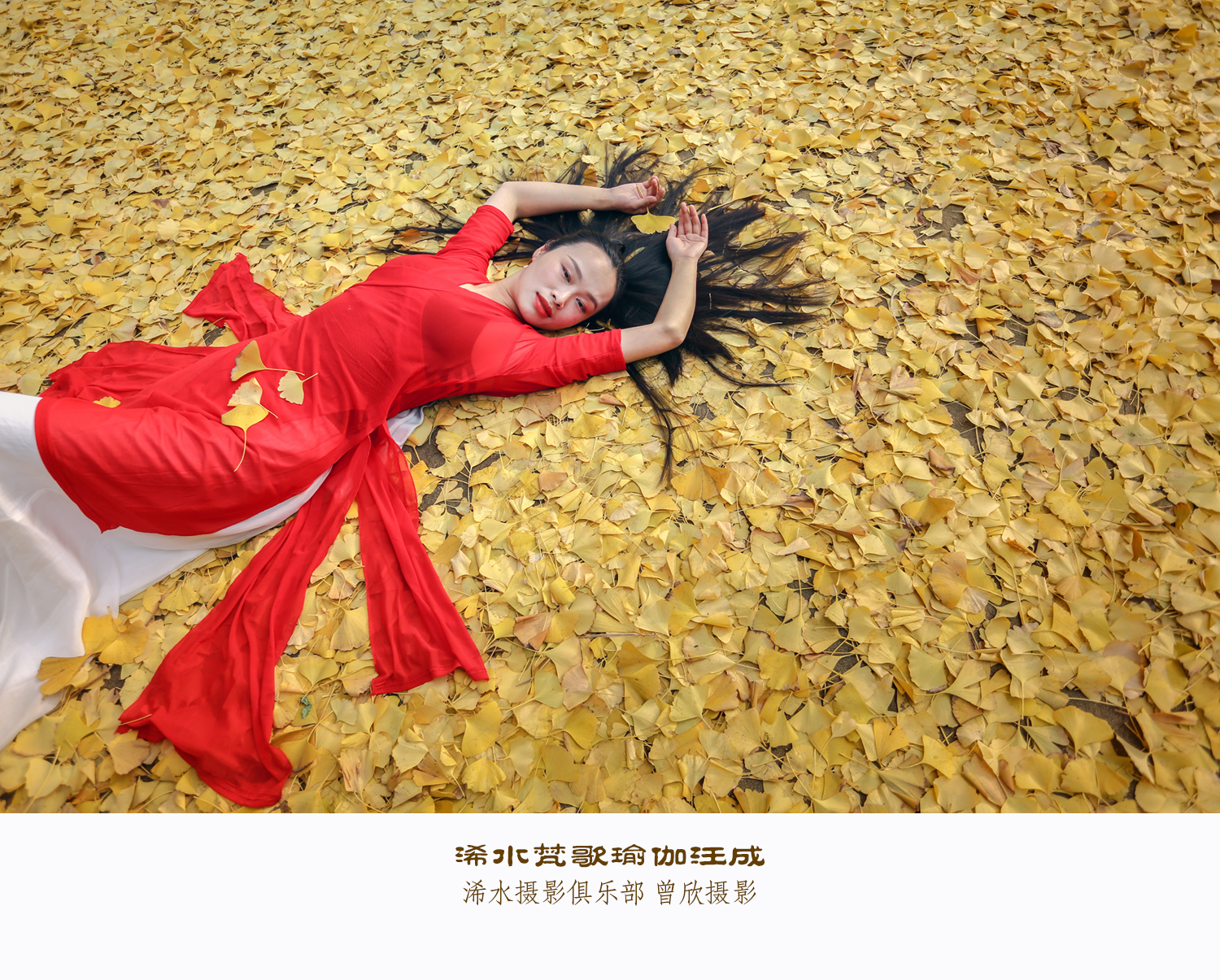 浠水梵歌瑜伽新会所,浠水县梵歌瑜伽服务中心