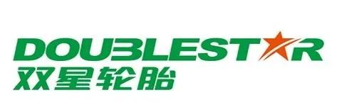 全球轮胎企业最新排名深度解析,全球轮胎企业最新排行榜出炉