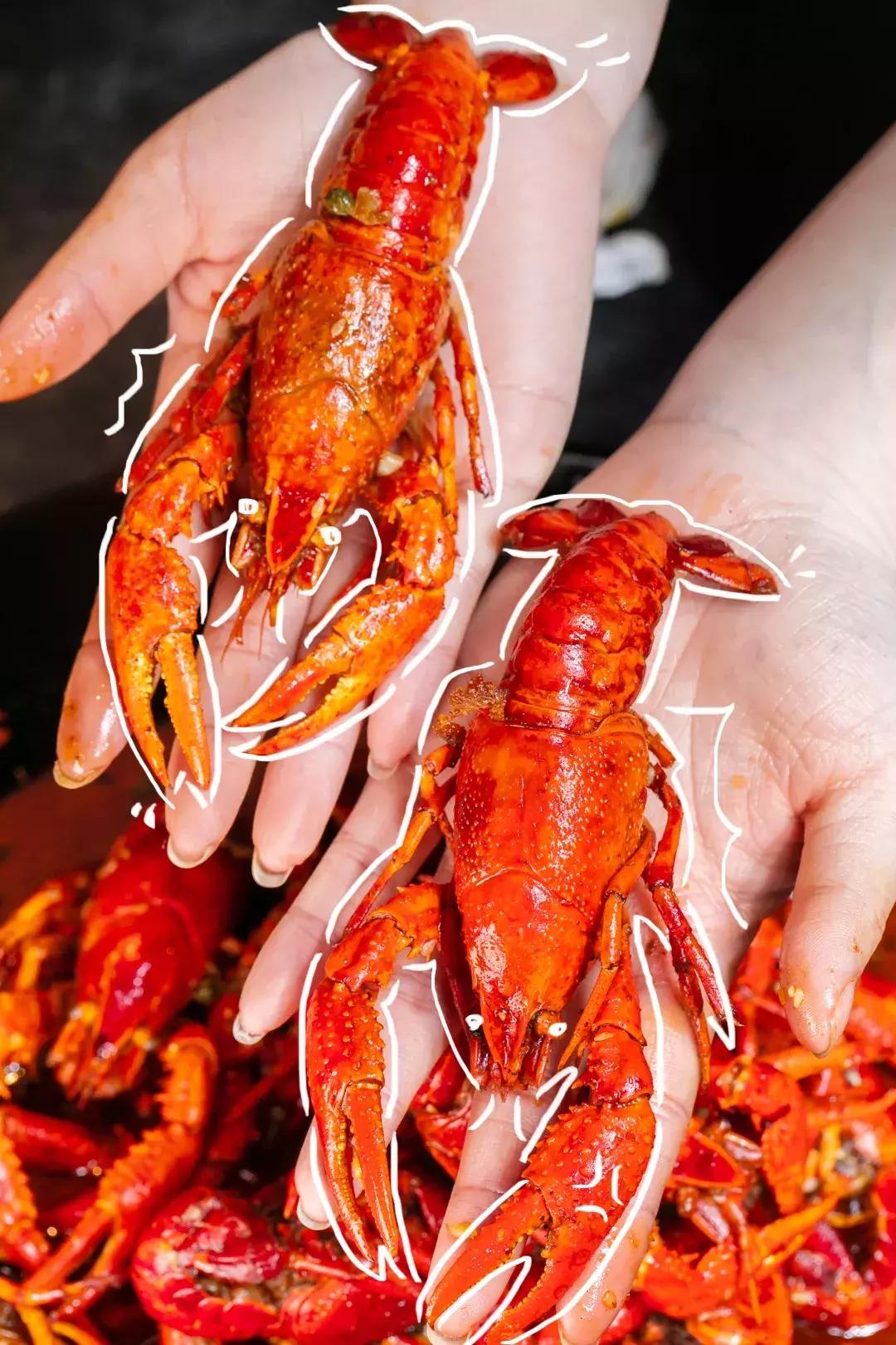小龙虾季节来了小龙虾8折优惠,火遍全国的小龙虾39折只卖6天