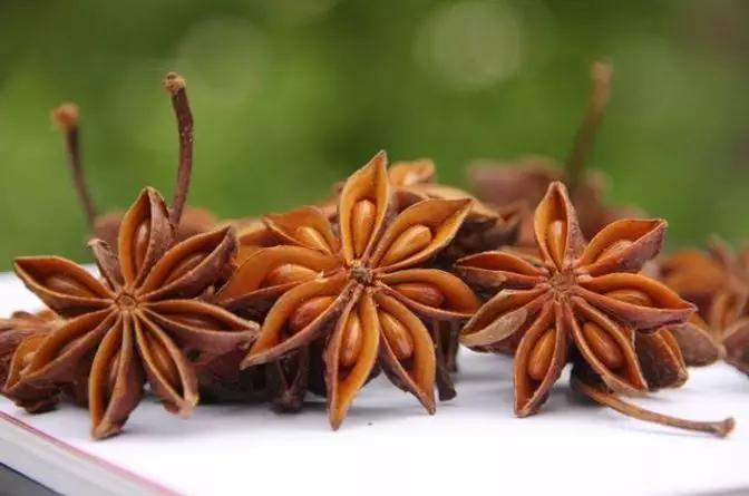 香料植物有哪几种,香料植物与成品解析