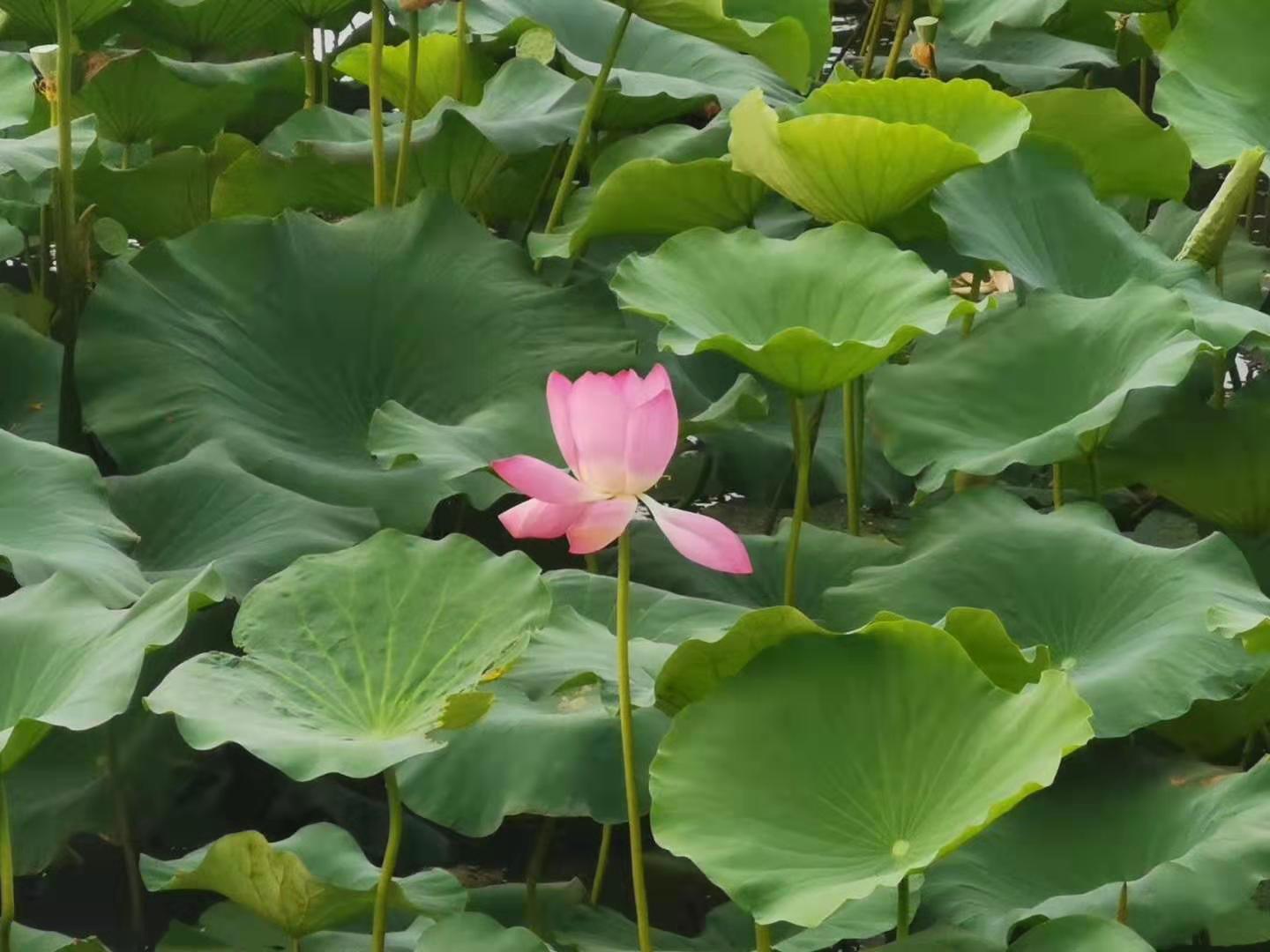 仓库5s现场管理标准图,5s仓库管理标识标牌