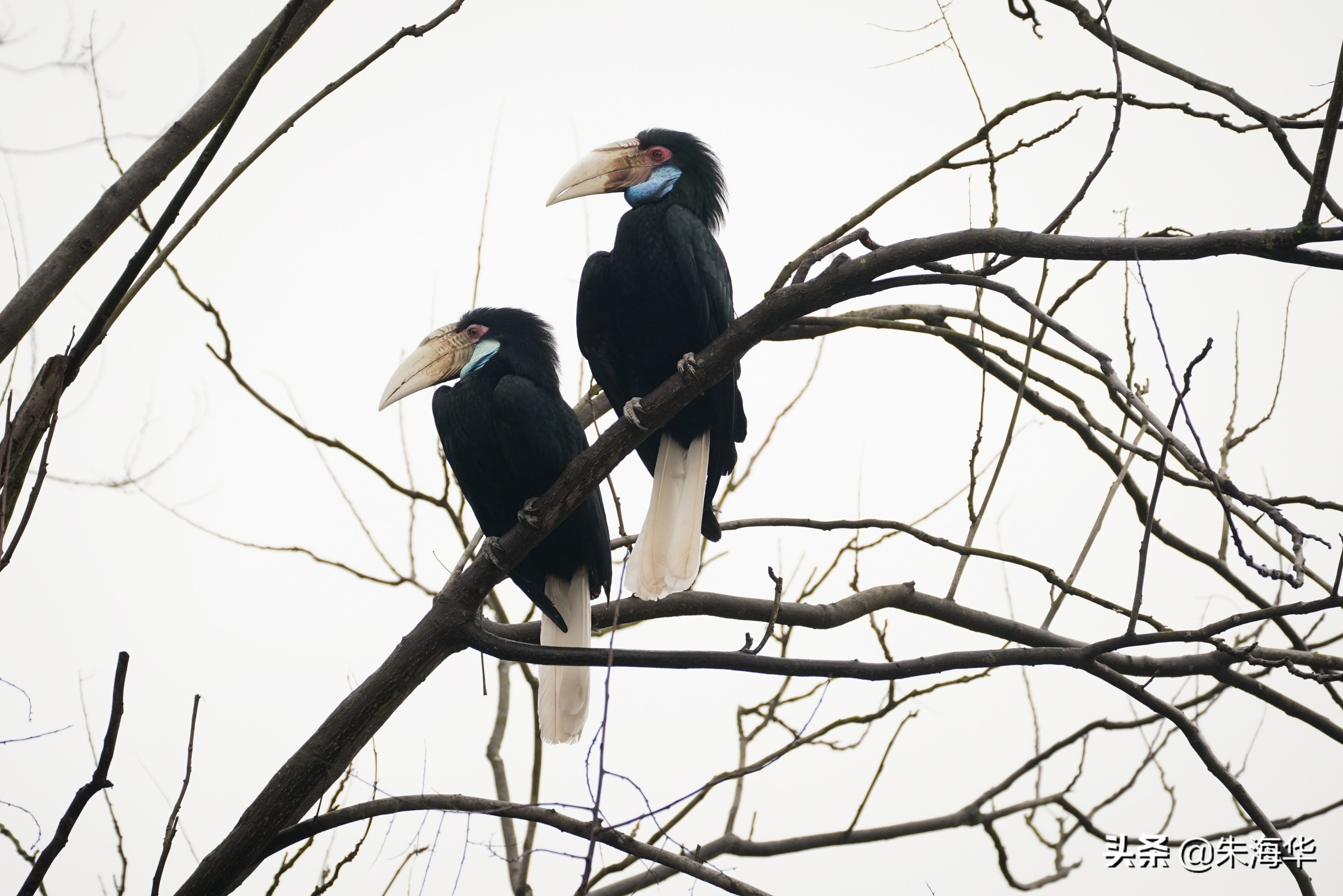 镜头记录：“它们”和我们
