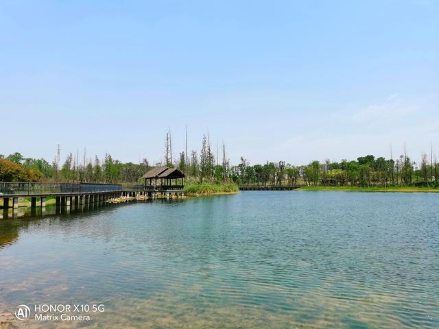 光荣x10是双5g手机吗,光荣x10最值得入手的5g手机