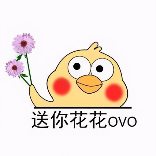 四季都有观赏效果的园林植物,春季开花的园林植物