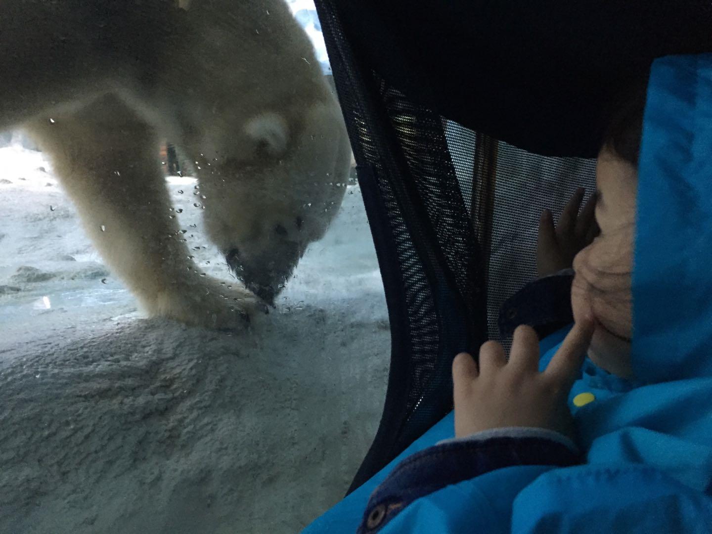珠海长隆海洋王国附近美食,珠海长隆海洋王国官网预约
