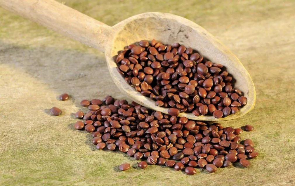 失眠多梦一觉到天亮的秘诀在这里,失眠千万别吃药一觉睡到天亮