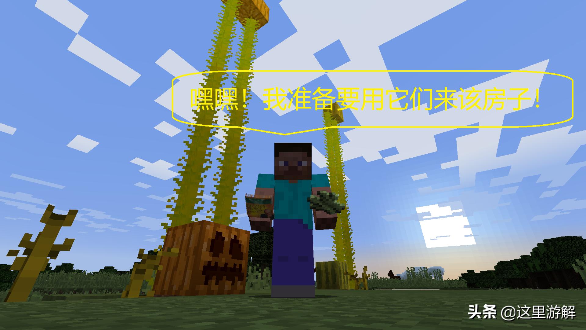 我的世界农民收农作物的条件,我的世界如何让农作物增长的更快