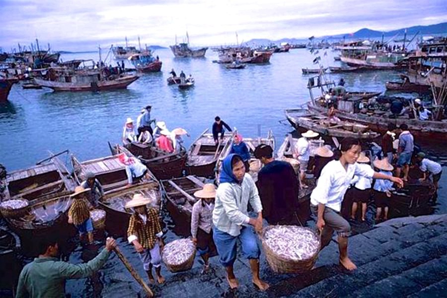 三亚旅游攻略自由行3天,海南三亚旅游攻略跟团游