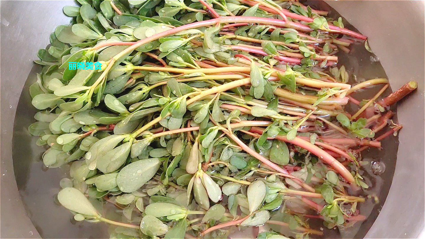 马齿苋几种吃法健康又美味,美食教程马齿苋新吃法