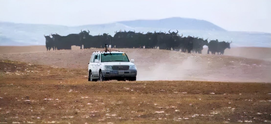 羌塘无人区为什么被称为生命禁区,世界上十大诡异禁区