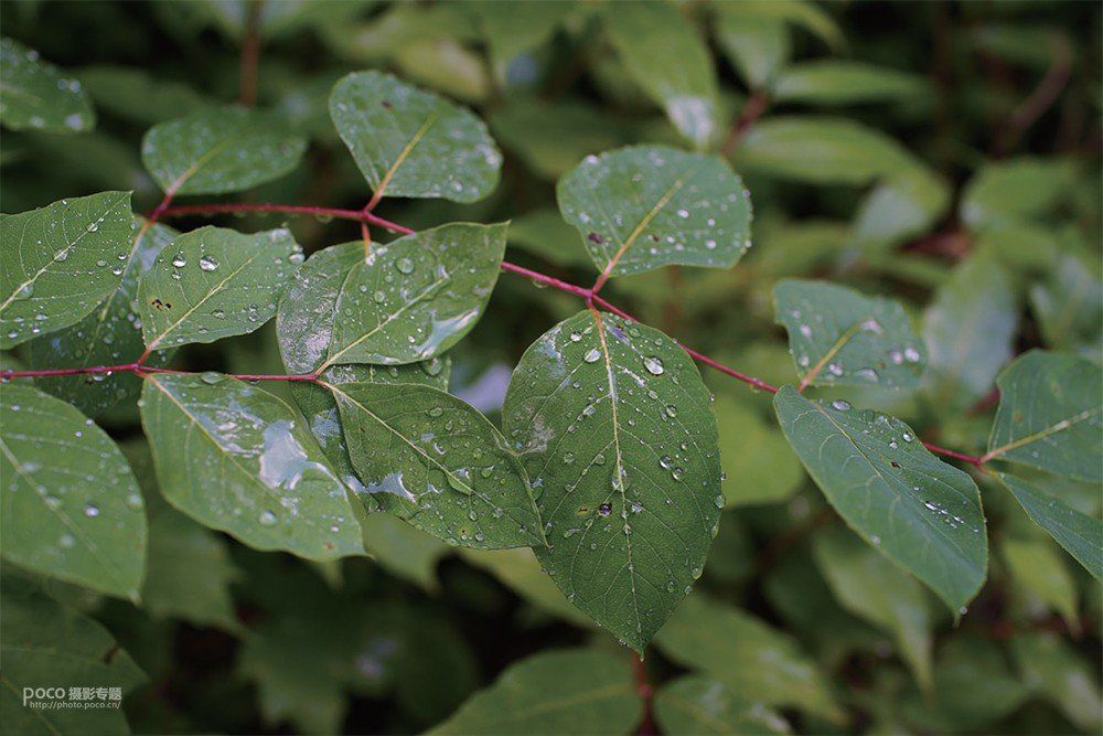 结合摄影知识谈如何拍好一张照片,如何拍出一张优美的照片摄影思路