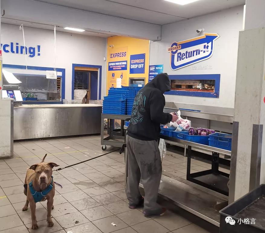 在加拿大退货,在加拿大退货不需要任何理由