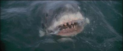 无敌破坏王二彩蛋片尾曲,无敌破坏王二彩蛋详细介绍