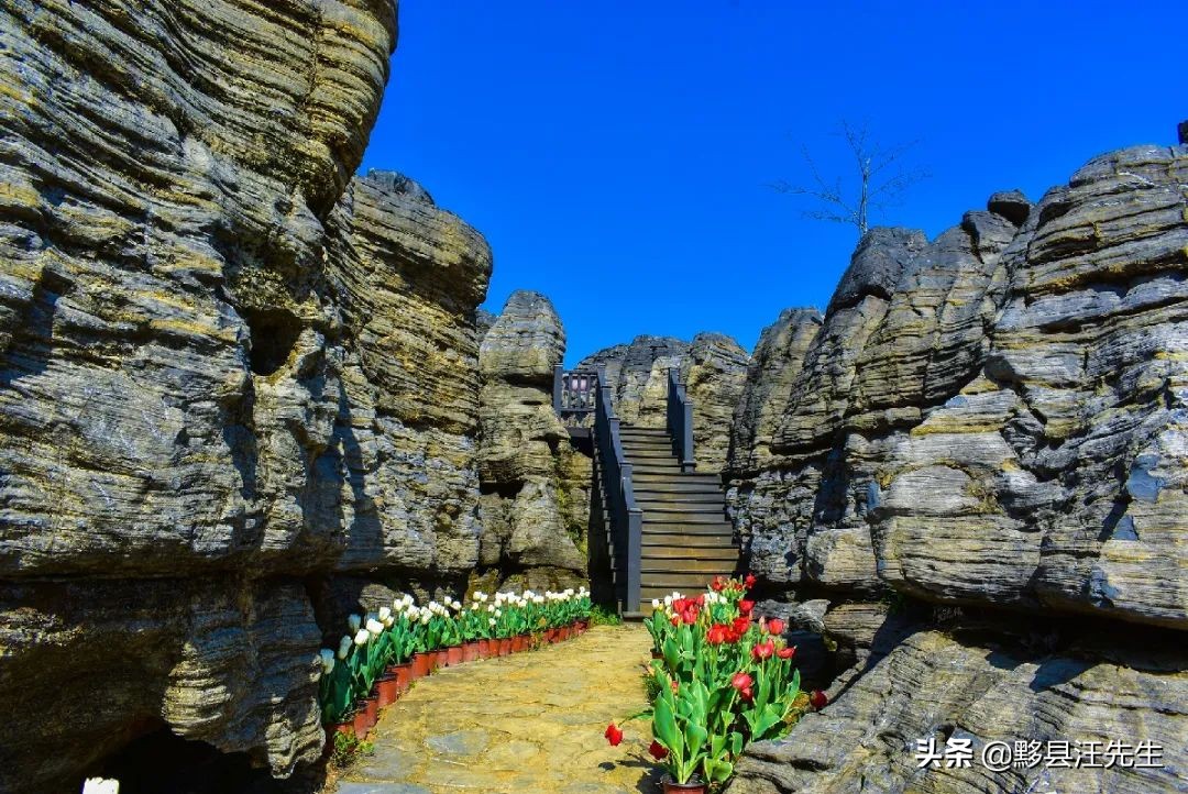 爱我就陪我走完最后的旅程,爱我就陪我去拉萨