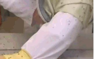 夏天防蚊黑科技,夏日防蚊黑科技