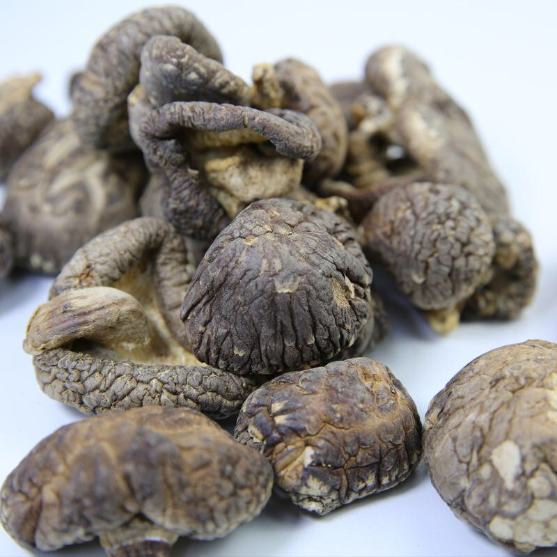 中草药香蕈,香蕈的营养价值及功效