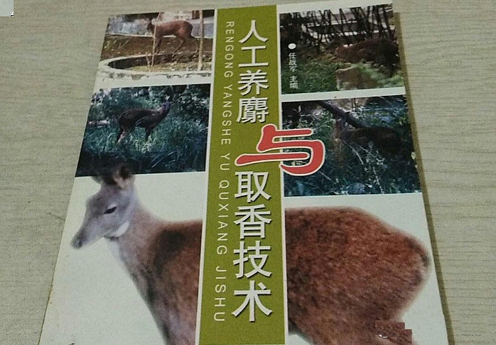 投资一家公司股票需要怎么分析,投资股票的十大要诀