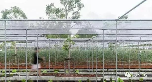 康养养老产业项目有哪些,养老康养行业前景