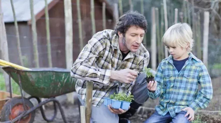 民宿农庄怎么做才有特点,新型民宿结合农庄玩法