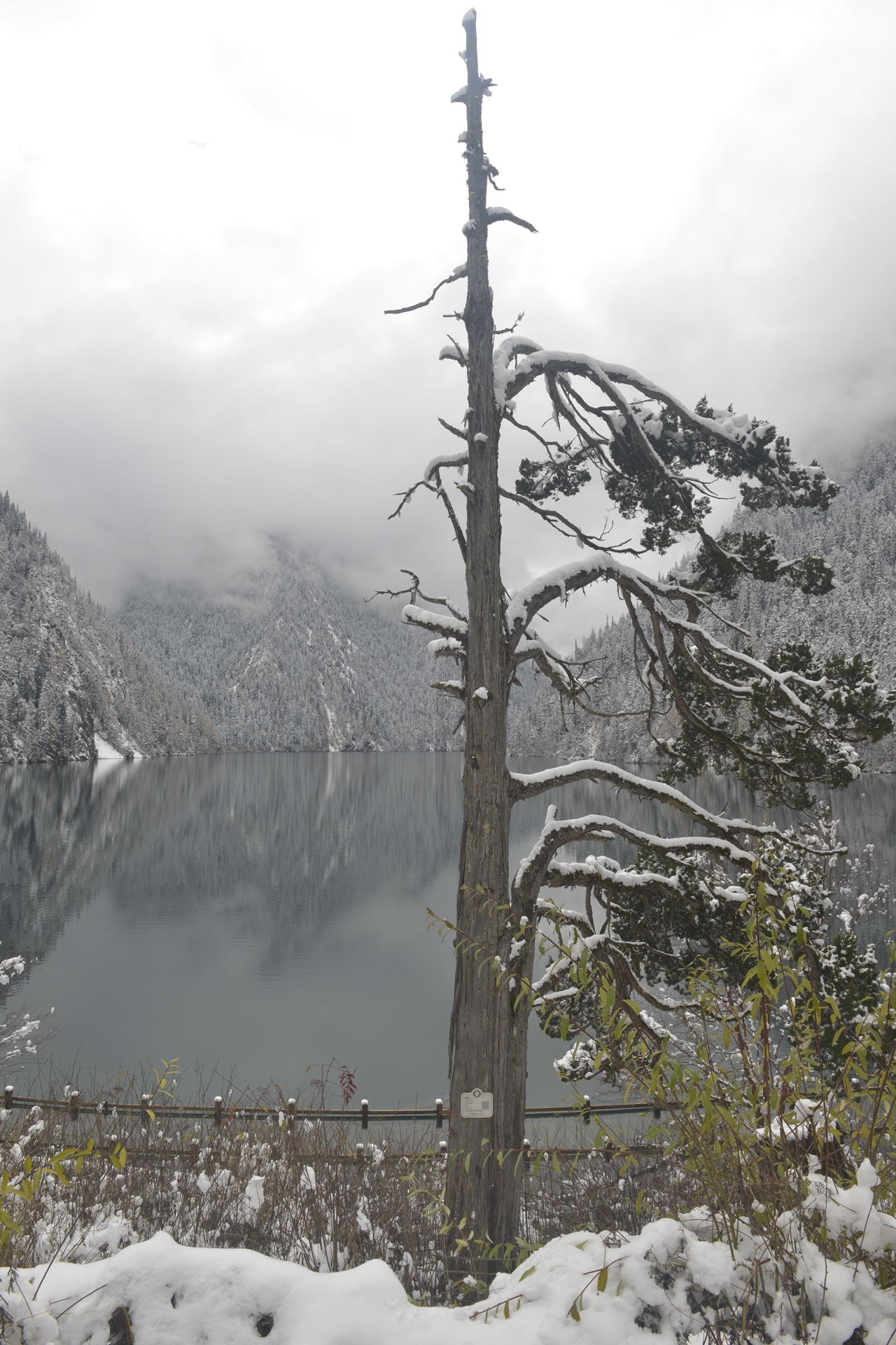 九寨沟梦幻天堂,自驾畅游九寨沟童话世界
