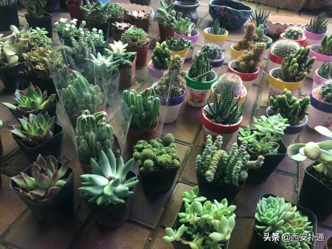 摆摊人的真实经历到底赚不赚钱,90后摆摊的经历和感受