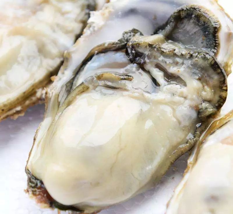 乳山海阳所牡蛎文化园,乳山牡蛎正宗做法视频