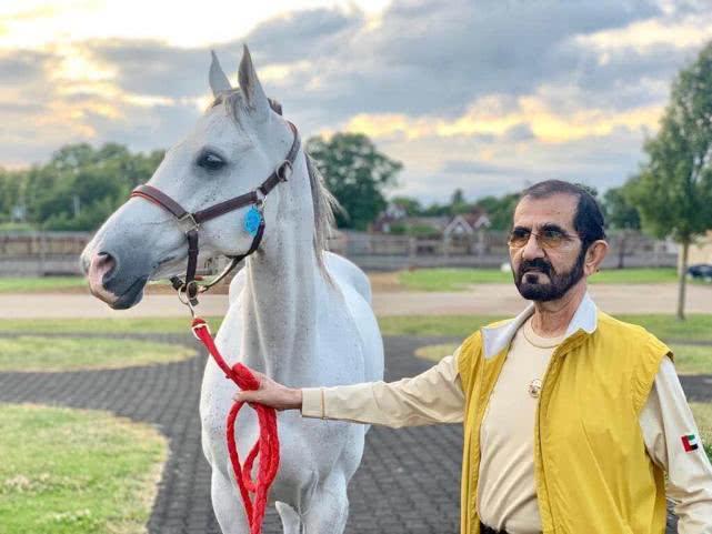 迪拜现任酋长穆罕默德,迪拜酋长穆罕默德的故事