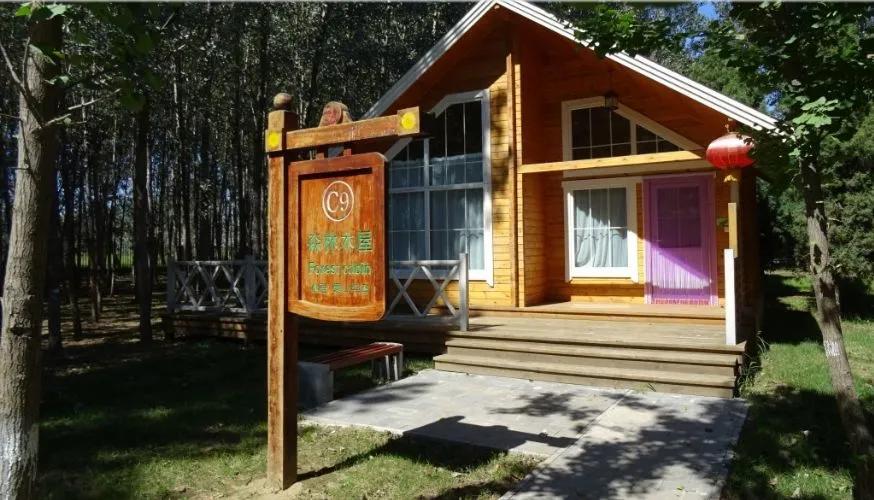 天津十大自然风景区,天津九山顶自然风景区赏秋