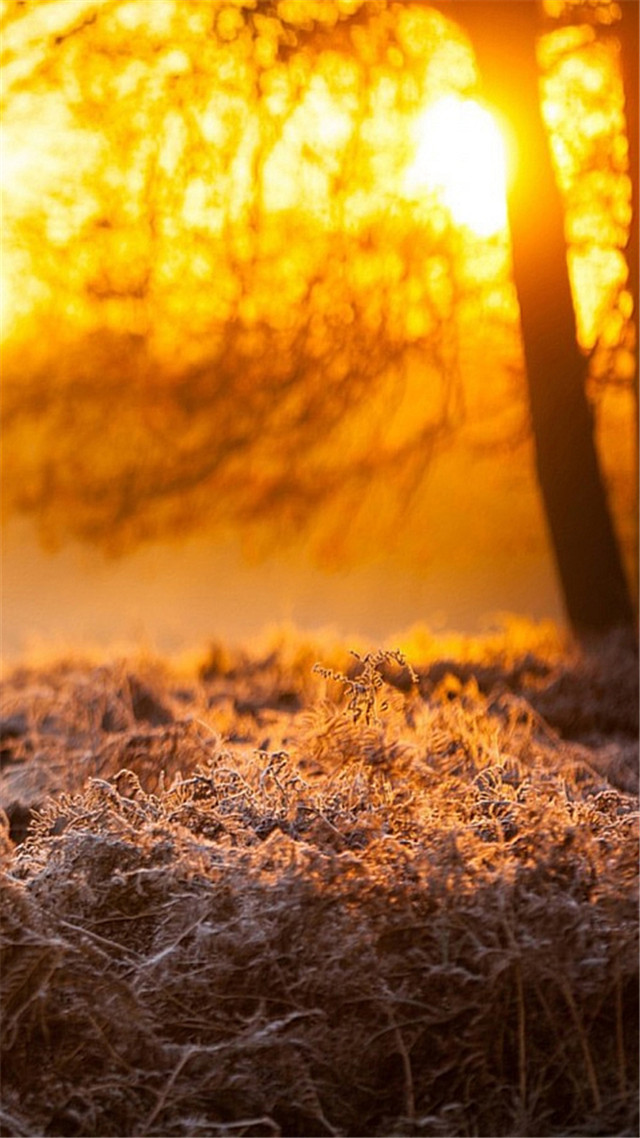 高清风景壁纸无水印全屏壁纸,风景壁纸手机壁纸