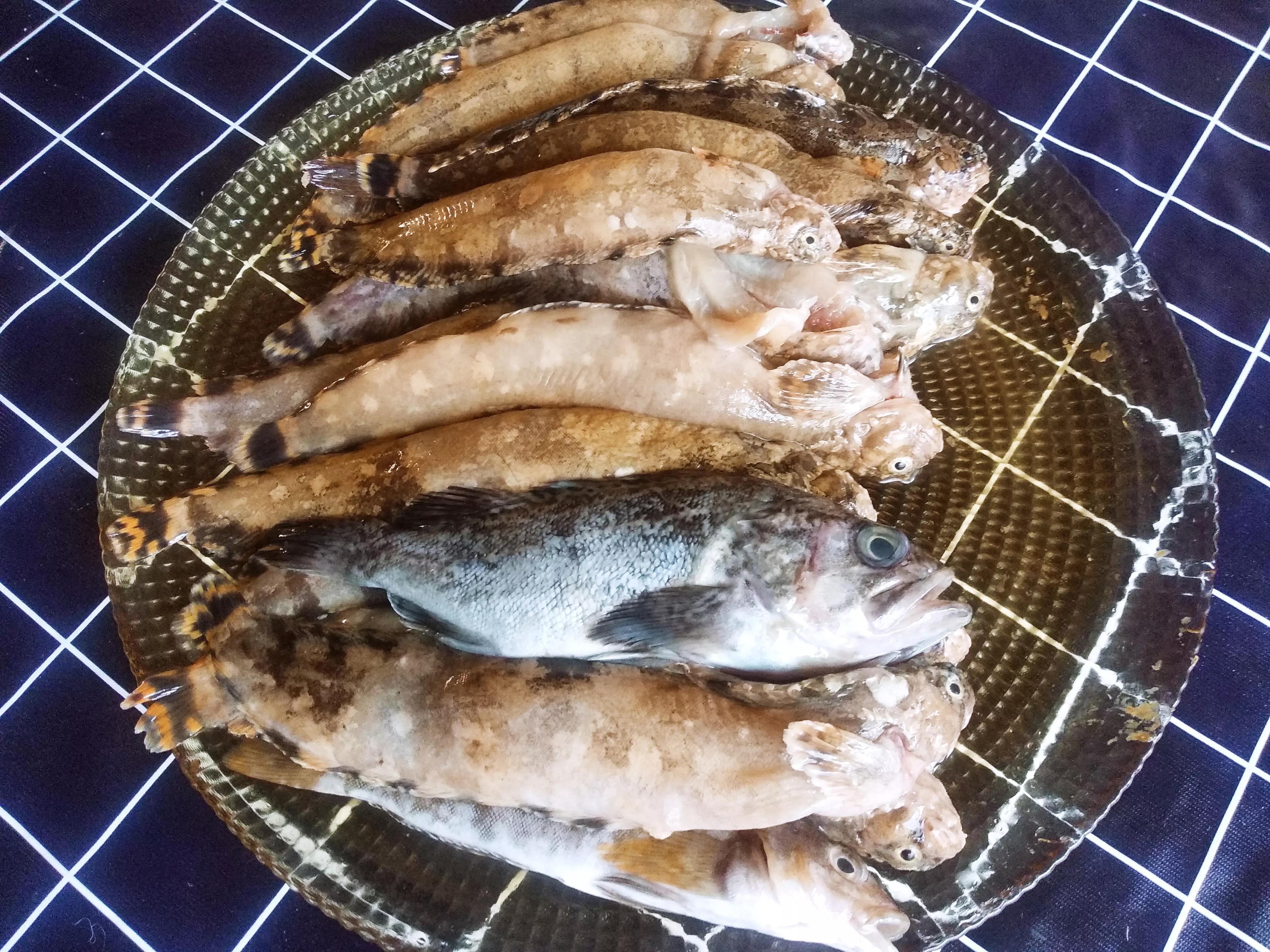 开海了吃什么美食,海边人常吃的40种海鱼