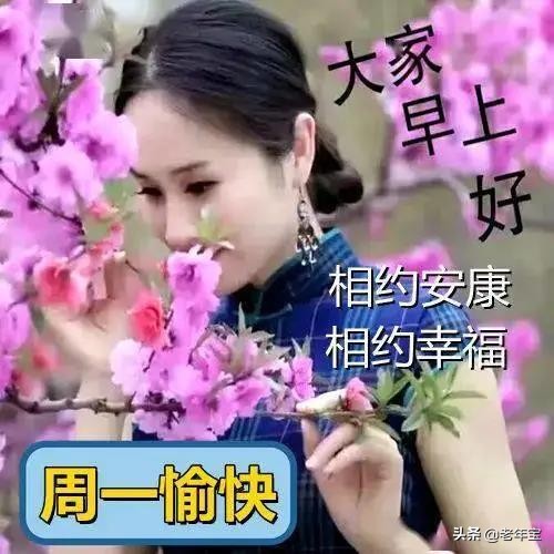 早上好周末愉快问候语动态表情包,周一早上好最新图片表情包