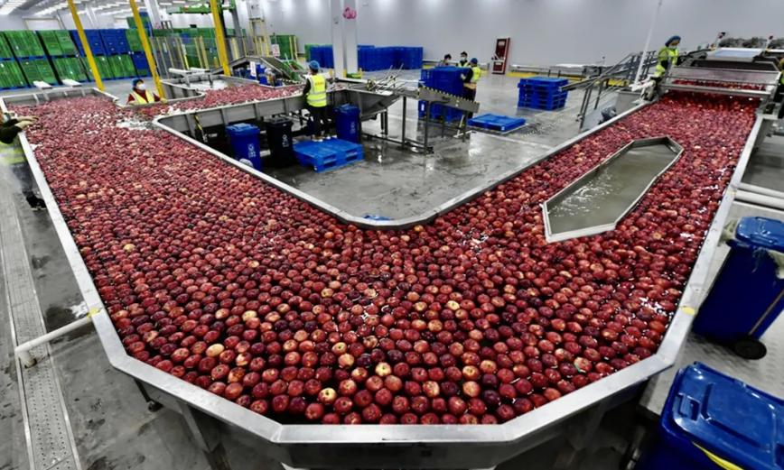 阿里京东拼多多电商下半场拼什么,阿里腾讯拼多多农业