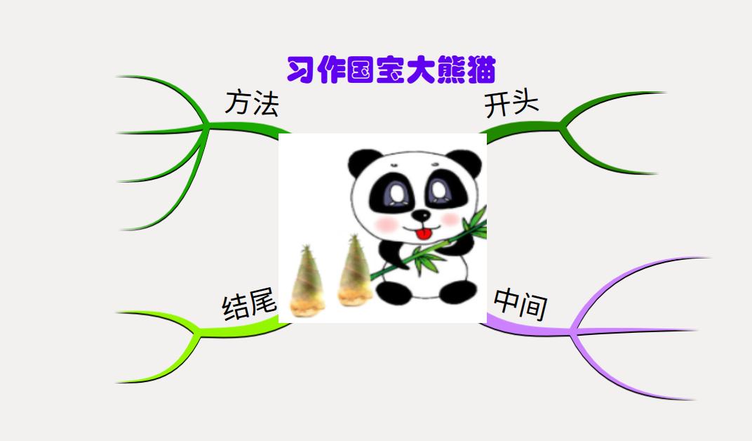 大熊猫的思维导图三年级下册,关于大熊猫的思维导图越详细越好