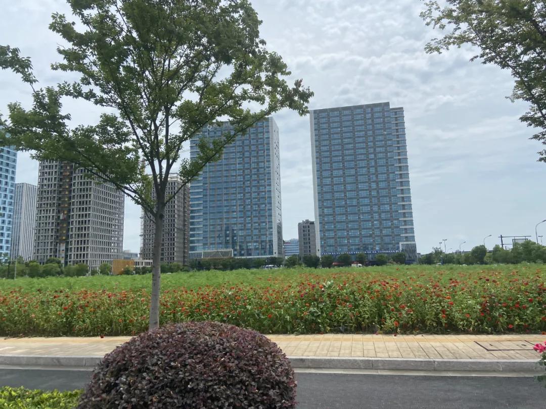 杭州晓月澄庐排屋,晓月澄庐排屋