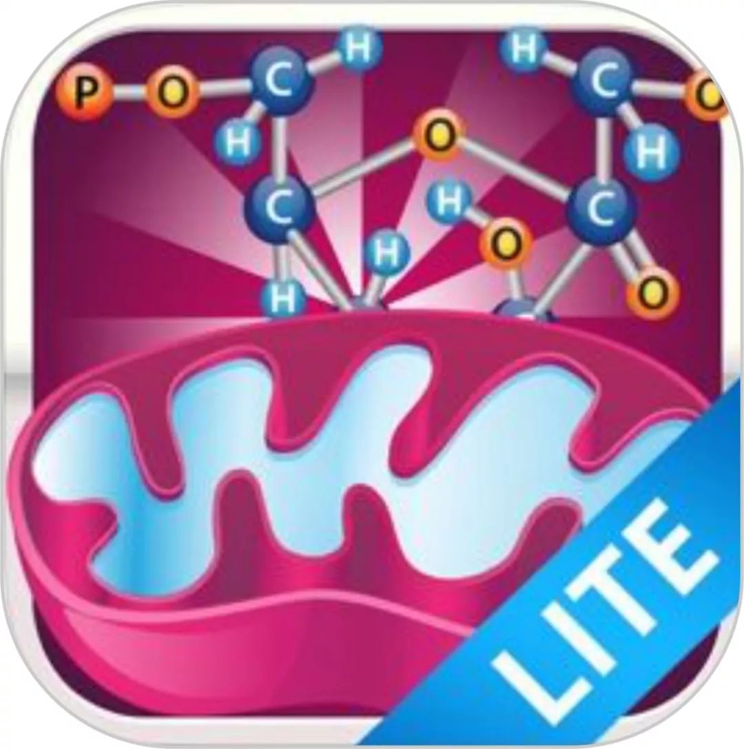 教师教学必备软件推荐,适合教师实用的教学软件