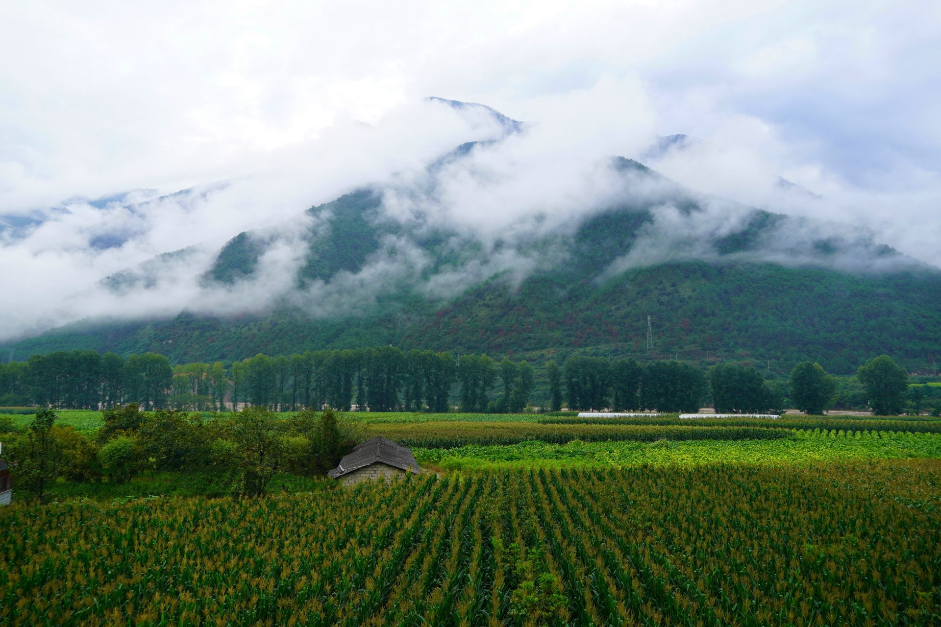 “乡”约丽江塔城，这里有你向往的田园生活