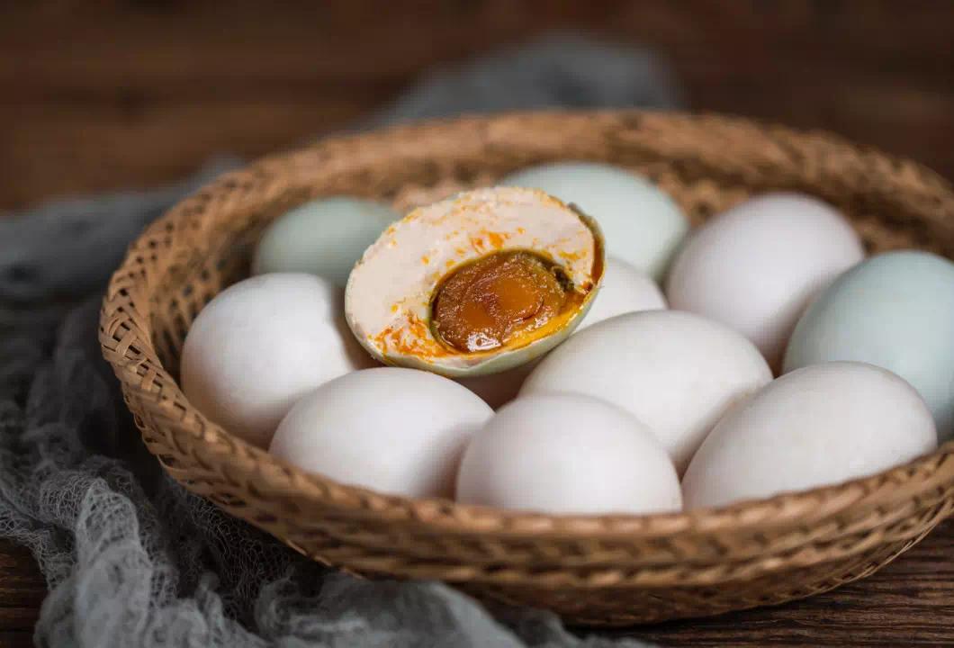 端午节不仅仅只吃粽子,端午节到了你有记得吃粽子吗