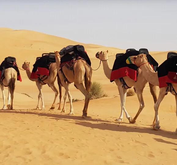 迪拜怎么玩才能玩得开心,暑假如何去迪拜