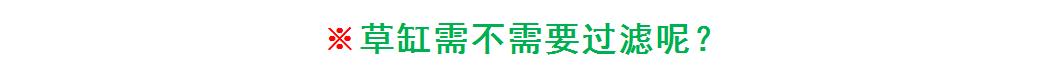 入坑草缸你准备好了吗,草缸入坑观赏鱼