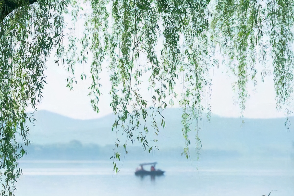 依依杨柳唯美诗句,很浪漫的诗句古诗