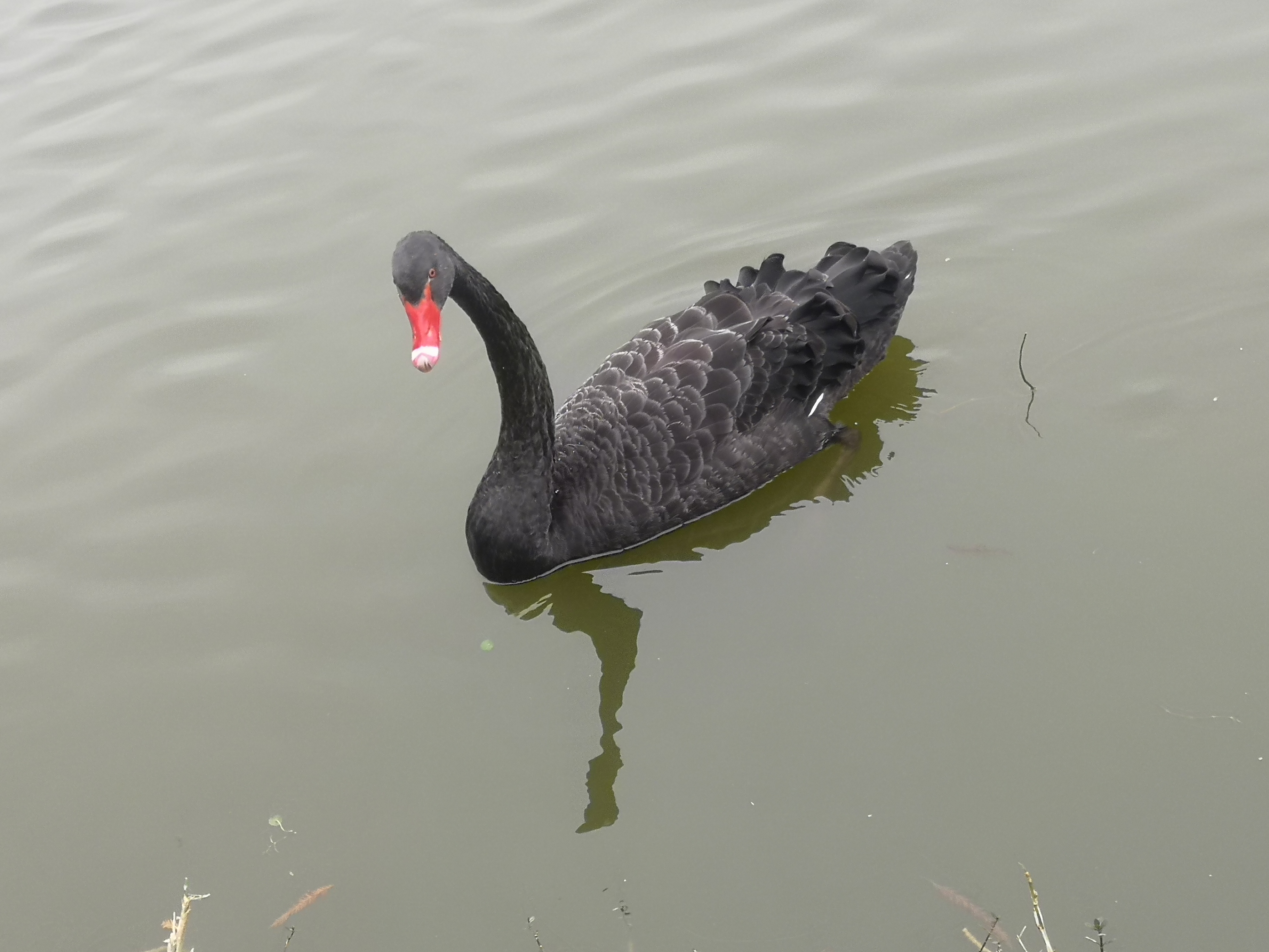 自助游厦门花费,厦门到北京自助游攻略