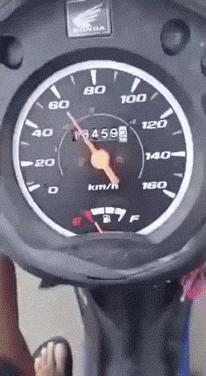 这只鹦鹉一直以为他是一只猴，所以每天都在重复做这个动作