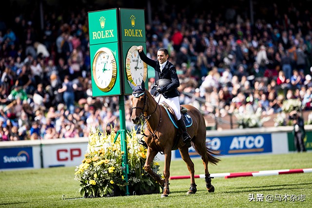 什么！听说几天后云杉草地将会上演一场冠军“厮杀”?