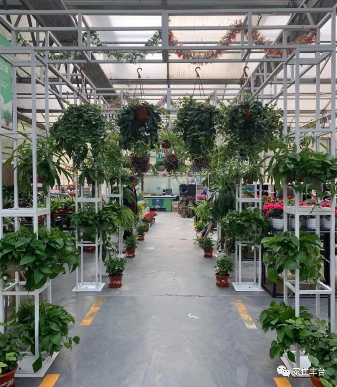 丰台四大花市在哪里,北京丰台值得逛一逛