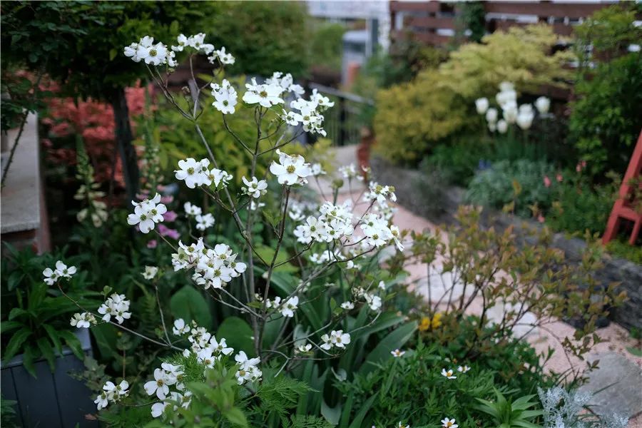 怎样打造露台花园,简单露台花园打造方法